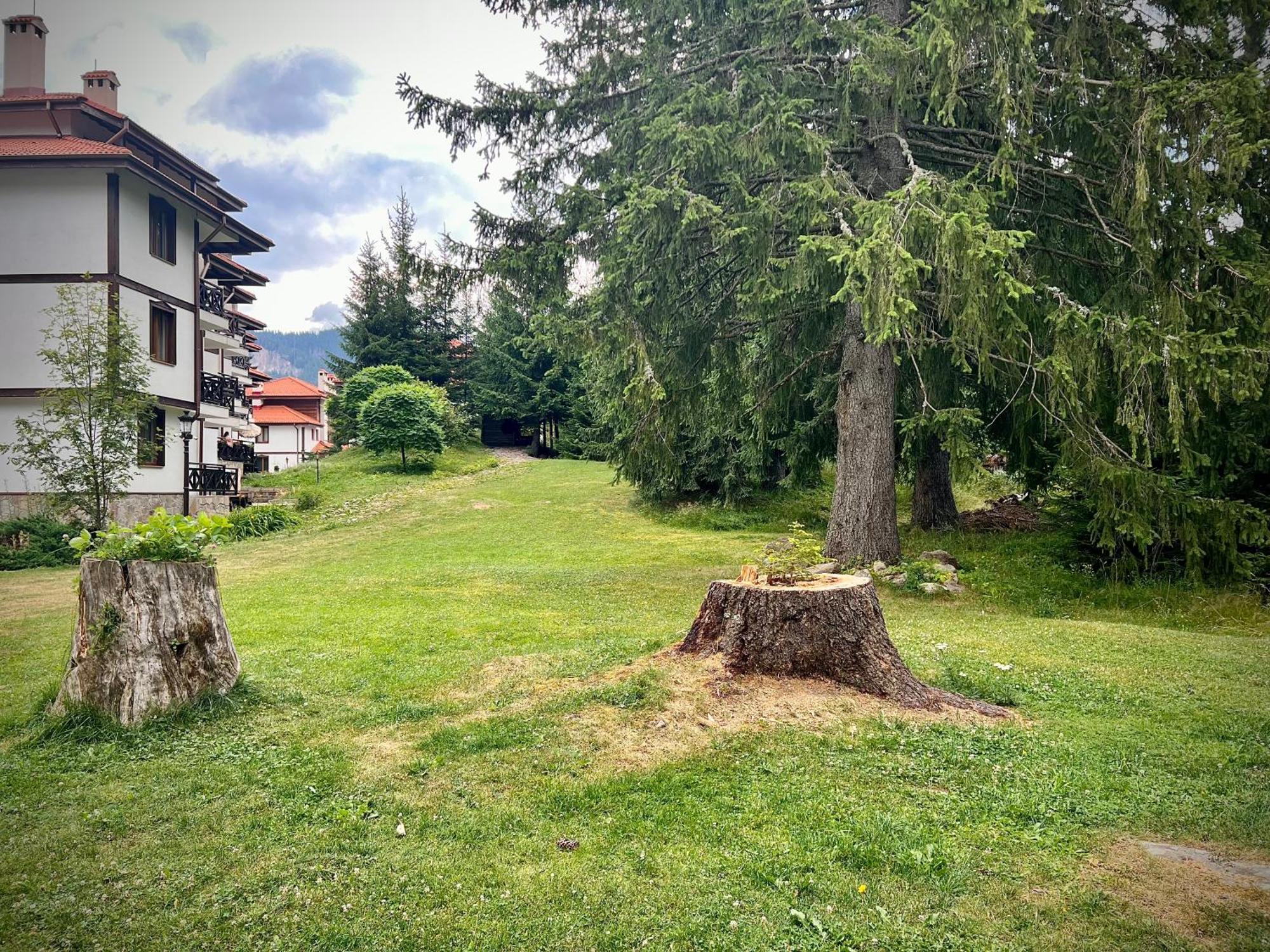 Relax Aпартаменти, Смолянски Езера, Вила Венера, К-С Маунтин Лейк Luaran gambar